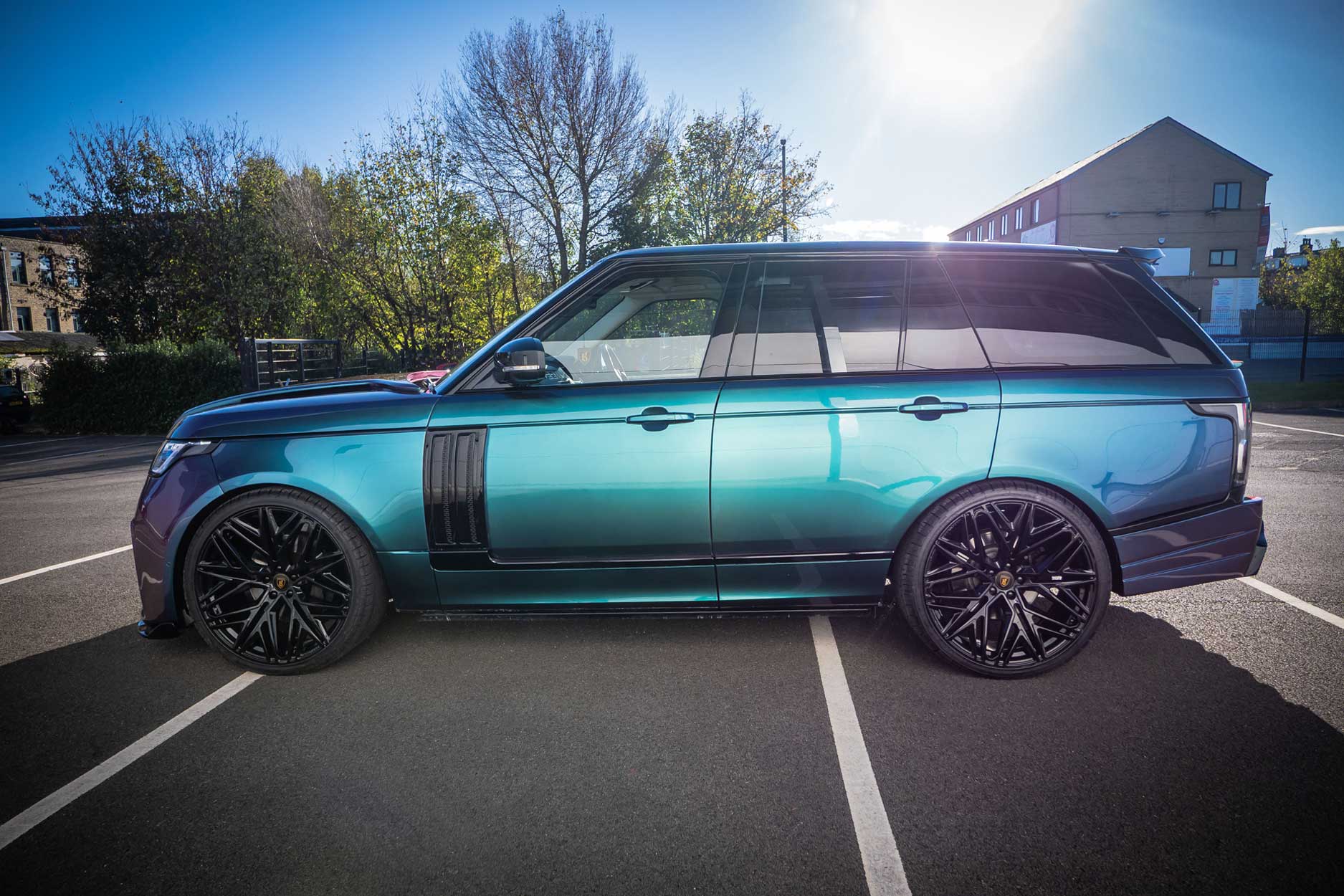 bison_chroma_edition_side_hero_portfolio_gallery_container_1875x1250