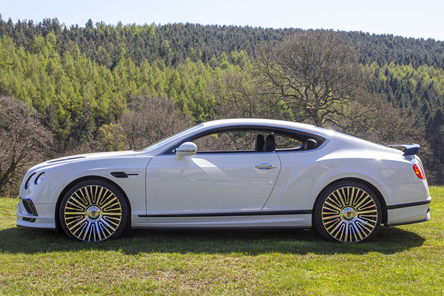 bentley_continental_gt_gallery_side